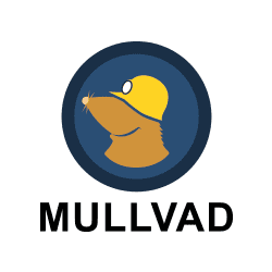 Mullvad VPN Logo